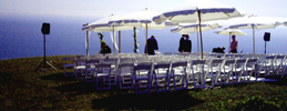 Wedding Sound